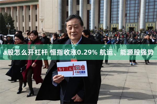 a股怎么开杠杆 恒指收涨0.29% 航运、能源股强势