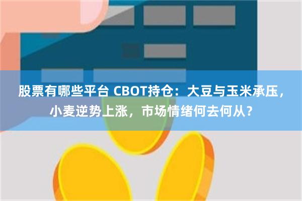 股票有哪些平台 CBOT持仓：大豆与玉米承压，小麦逆势上涨，市场情绪何去何从？