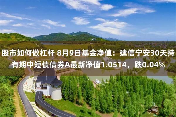 股市如何做杠杆 8月9日基金净值：建信宁安30天持有期中短债债券A最新净值1.0514，跌0.04%