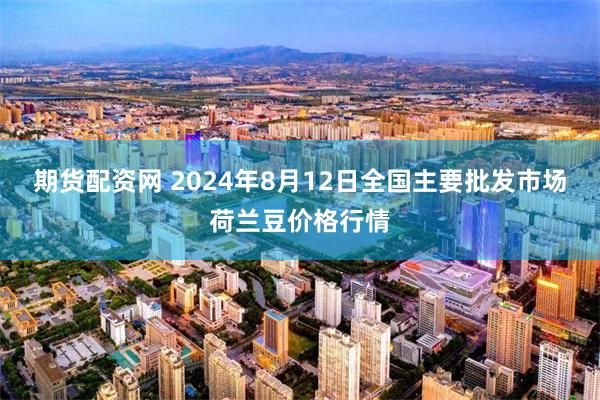 期货配资网 2024年8月12日全国主要批发市场荷兰豆价格行情