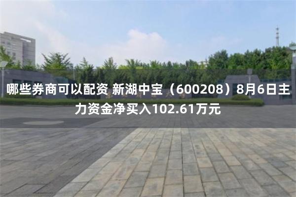 哪些券商可以配资 新湖中宝（600208）8月6日主力资金净买入102.61万元