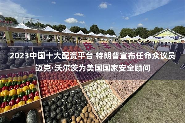 2023中国十大配资平台 特朗普宣布任命众议员迈克·沃尔茨为美国国家安全顾问