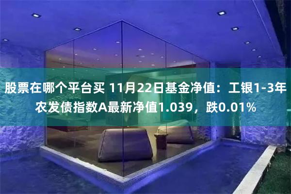 股票在哪个平台买 11月22日基金净值：工银1-3年农发债指数A最新净值1.039，跌0.01%