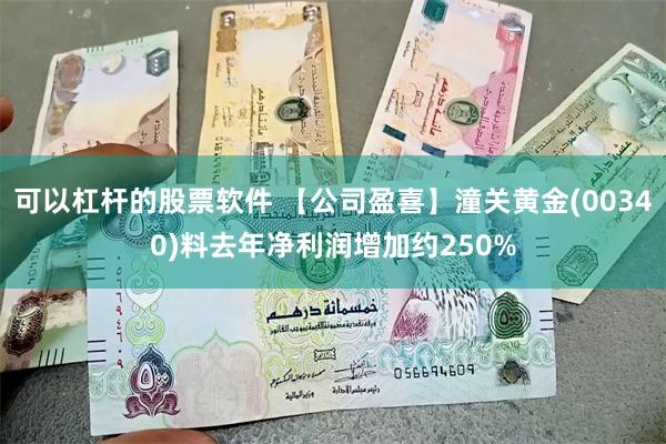 可以杠杆的股票软件 【公司盈喜】潼关黄金(00340)料去年净利润增加约250%