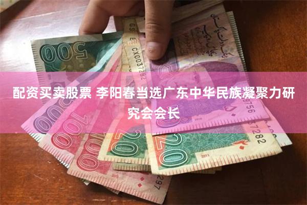 配资买卖股票 李阳春当选广东中华民族凝聚力研究会会长