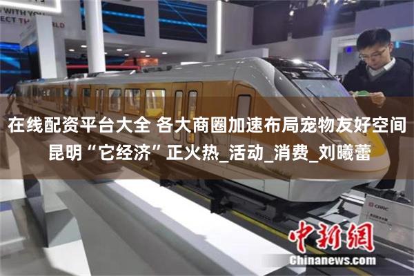 在线配资平台大全 各大商圈加速布局宠物友好空间 昆明“它经济”正火热_活动_消费_刘曦蕾