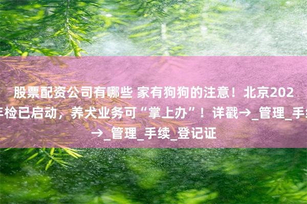 股票配资公司有哪些 家有狗狗的注意！北京2025年养犬年检已启动，养犬业务可“掌上办”！详戳→_管理_手续_登记证