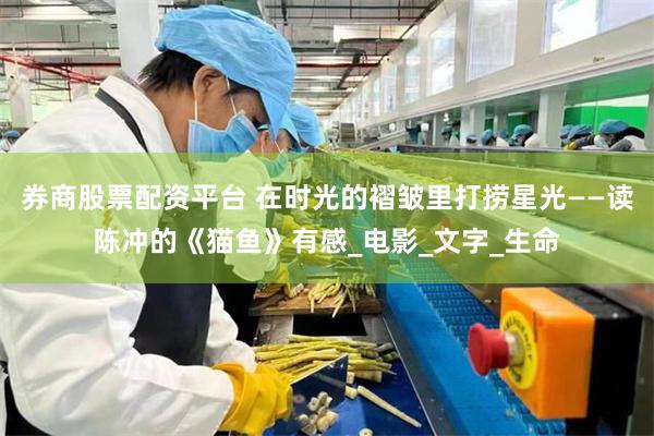 券商股票配资平台 在时光的褶皱里打捞星光——读陈冲的《猫鱼》有感_电影_文字_生命